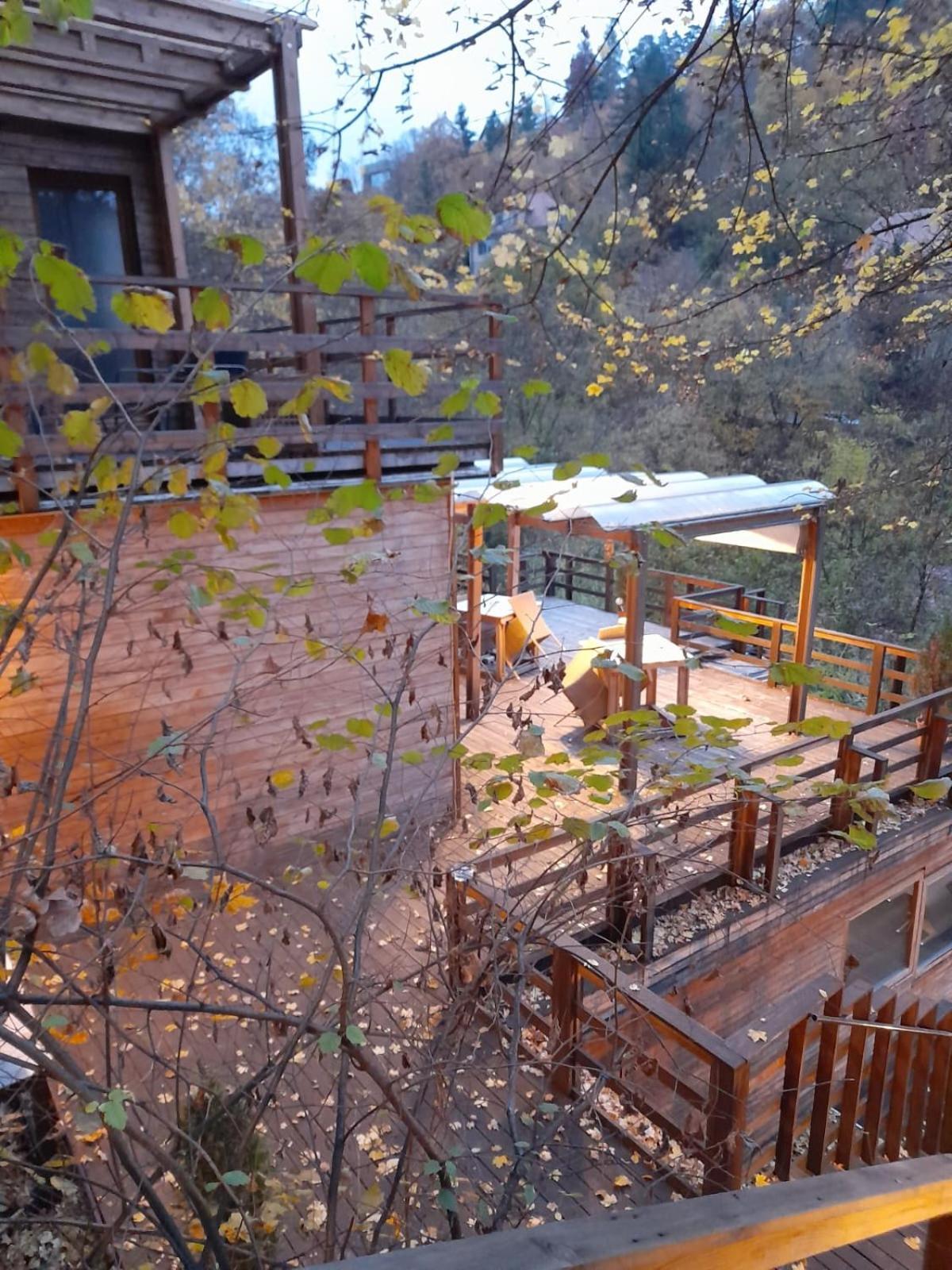 לינה וארוחת בוקר בראשוב Skay Loft מראה חיצוני תמונה